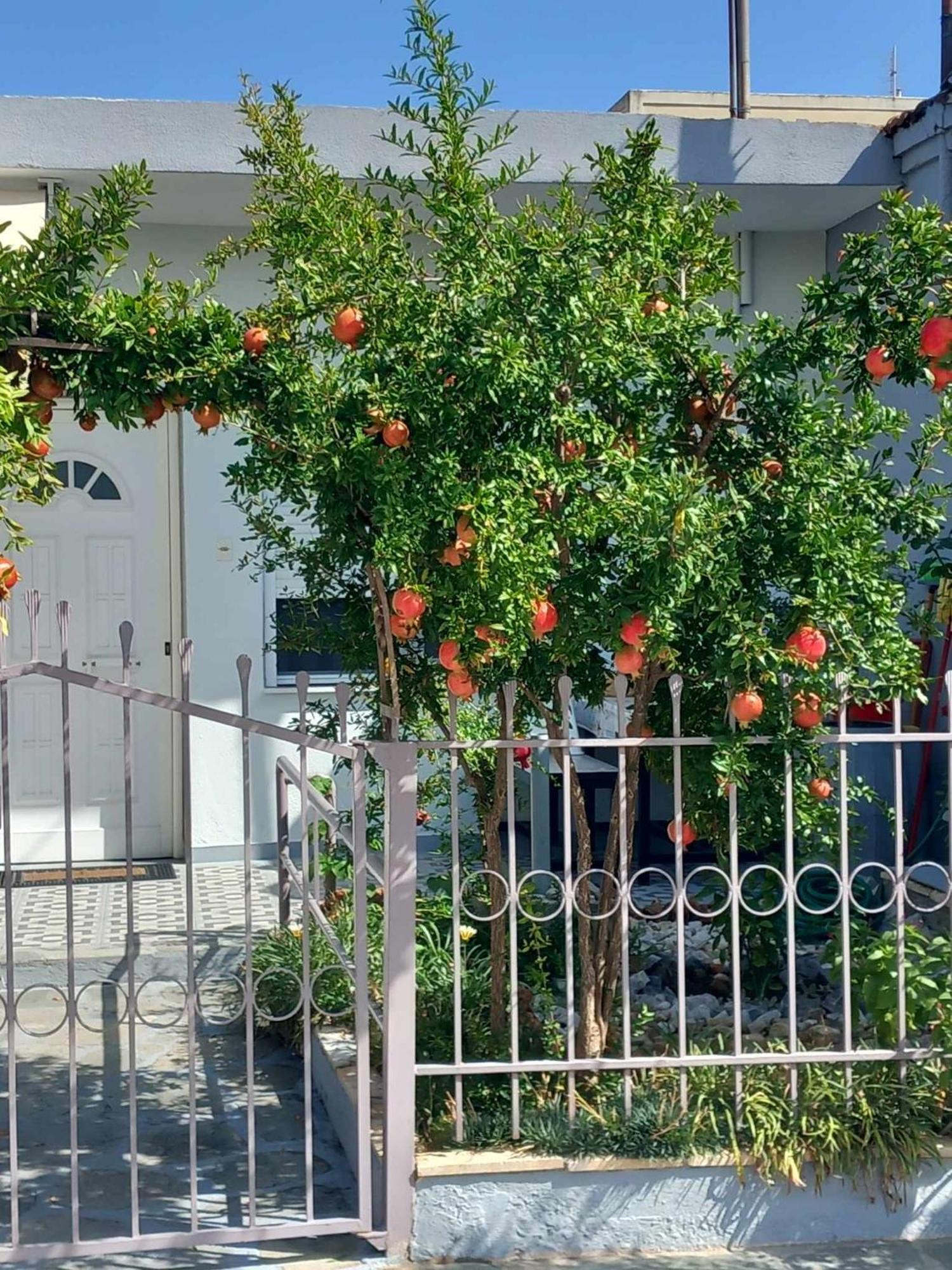 Anastasia'S Home Néa Péramos 外观 照片