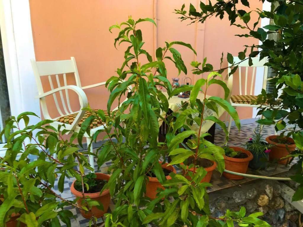 Anastasia'S Home Néa Péramos 外观 照片